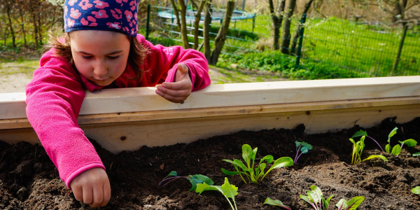 Gartenworkshop