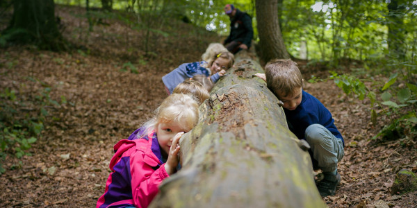 Naturpaedagoisches Programm Naturerlebnis Grabau