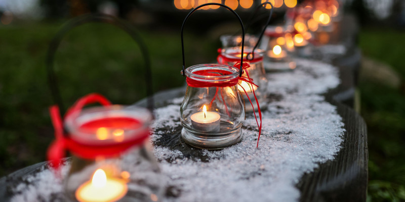 Pressefoto 1 Wald und Gartenweihnacht Stiftungen der Sparkasse Holstein