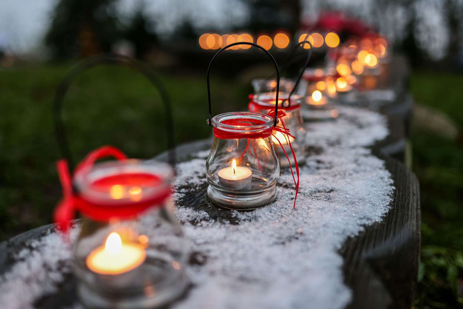Pressefoto 1 Wald und Gartenweihnacht Stiftungen der Sparkasse Holstein