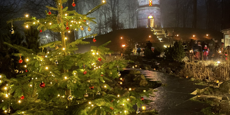 Waldweihnacht Bungsberg